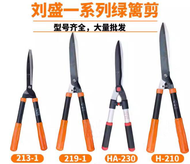 QQ截图20240417133116.jpg